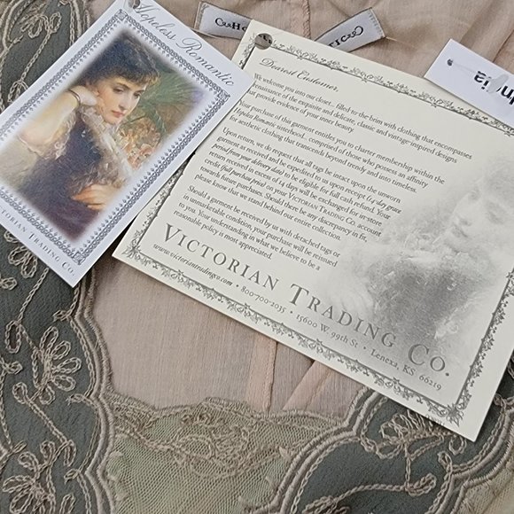 Hopeless Romantic Dresses & Skirts - New Victorian Trading Co Hopeless Romantic Lace Dress Blush Green Cottagecore M